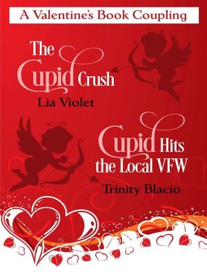 cover image of A Valentine's Book Coupling